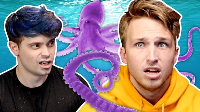 Youtube profile pic for Why Shayne Is Afraid Of Animals - SmoshCast #36 Highlight