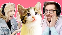 Thumbnail for How Our Friend Rescued A Cat From Facebook - SmoshCast #28 Highlight