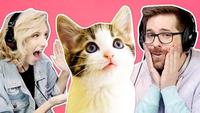 Youtube profile pic for How Our Friend Rescued A Cat From Facebook - SmoshCast #28 Highlight